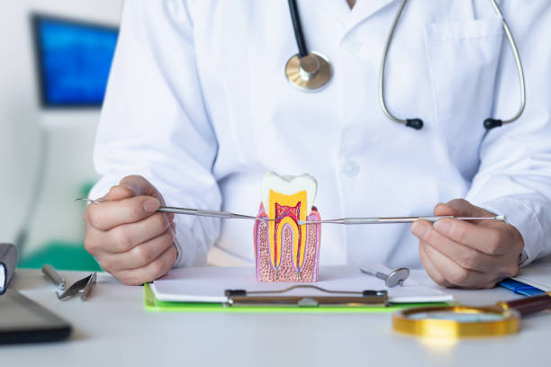 Best Pediatric Emergency Dentist in Fairmount, CO